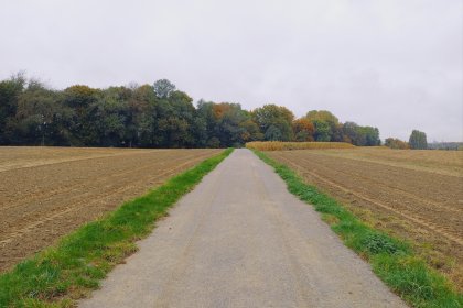 DurEko-mix® BIO in Ratingen