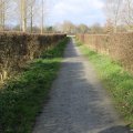Heistervoetpad Linne 