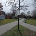 Rad- und Wanderweg DurEko-Mix® in Haltern am See