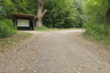 DurEko-mix® BIO in Versen