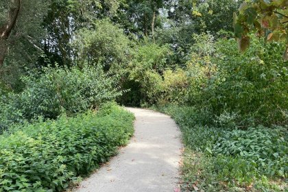 Zavelput Waregem KoMex BIO naturel (6)