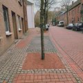 baumscheiben
