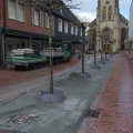 baumscheiben wassergebundene wegedecke