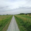 Neuer Wanderweg zum ehemaligen Friedhof von Onderwierum mit DurEko-Mix