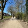 wassergebundene wegedecke KoMex Bio naturell