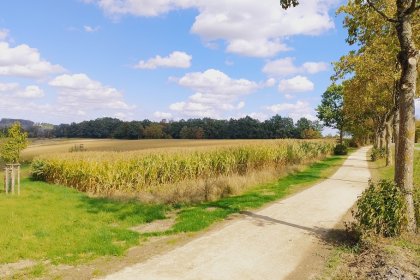 Komex Bio Naturel piste cyclable d'Arnsberg aéroport d'Arnsberg-Menden Revêtements stabilisés écologiques Koersmix