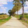 Radweg KoMex BIO Naturell Arnsberg Flughafens Arnsberg-Menden bio wegedecke